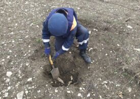 На стройке в Крыму обнаружили склад авиабомб времен войны