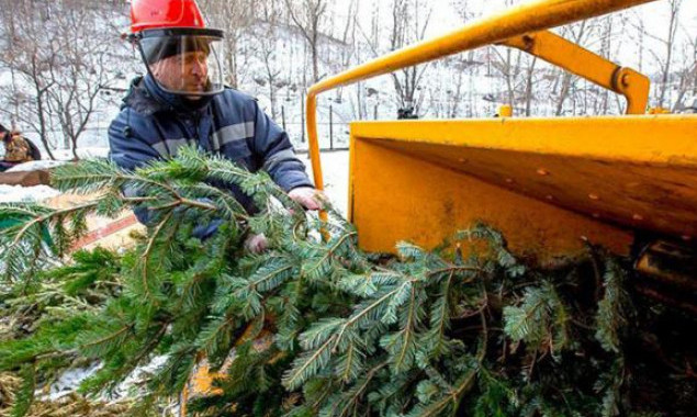 В Симферополе выброшенным елкам дадут вторую "жизнь"