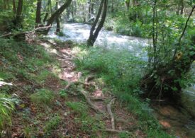 В Севастополе занялись расчисткой главных источников воды