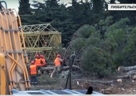 В Казачей бухте под строительство многоэтажек вырубают деревья - подарок Никитского ботанического сада