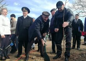 В Севастополе появилась миндальная роща им. Василия Ланового