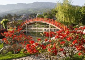 Фестиваль японской культуры "Цветущая сакура"открылся в Ботаническом саду
