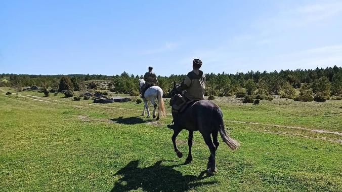 В Севастополе организованы конные казачьи патрули