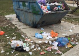 Глава Севастополя "погнал" руководителя горхоза и глав районов следить за мусором на местах